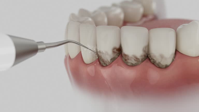 Reliable Dental contractor in Dundee, MI by Dentist Open Now